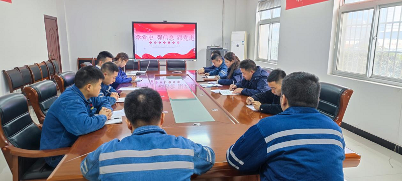 漢中公司團支部開展“學(xué)黨史、強信念、跟黨走”專題組織生活會